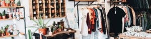 Eclectic shop interior with cacti, aloe plants, maps, and racks of vintage clothing
